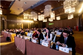 &ldquo;2017中國好光伏&rdquo;品牌榜&mdash;&mdash;華為榮登居戶用、扶貧、領跑者和組串逆變器等多項榜單之首