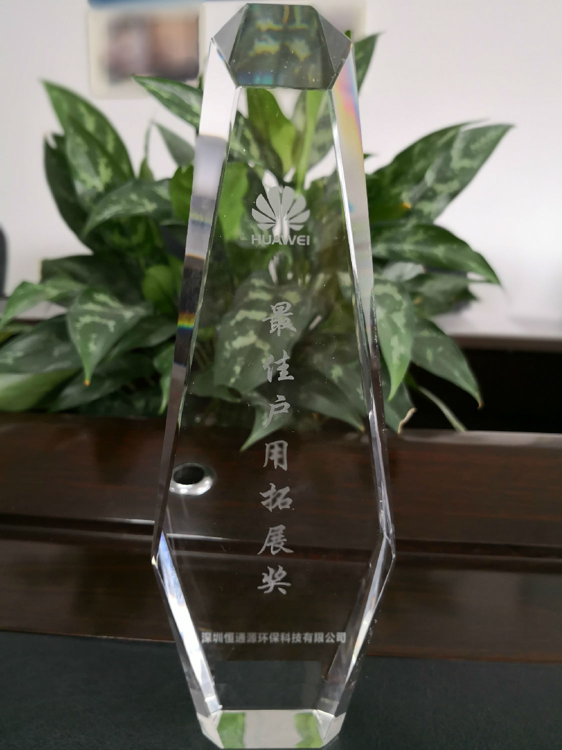 最佳戶用拓展獎.jpg 最佳戶用拓展獎.jpg